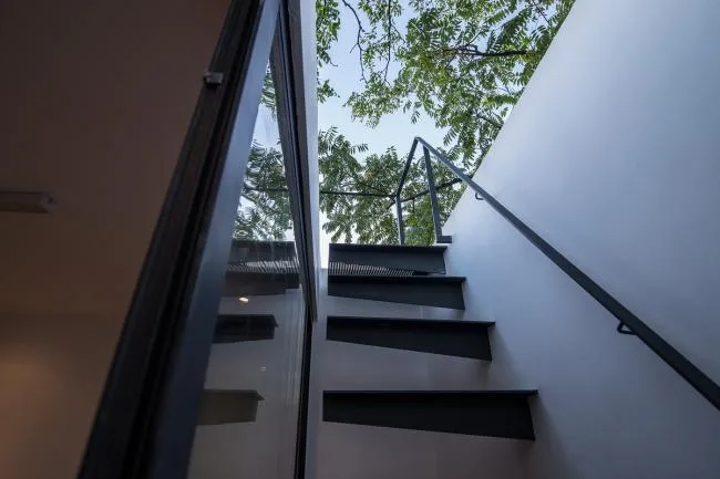 BIM Architecture | Tree Courtyard/Integrated Architecture
