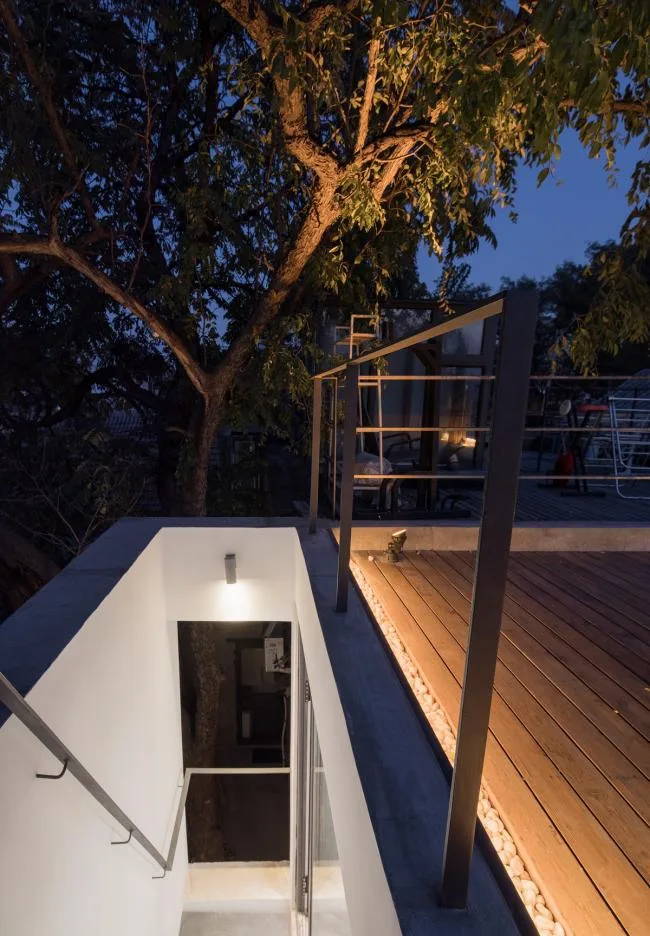 BIM Architecture | Tree Courtyard/Integrated Architecture