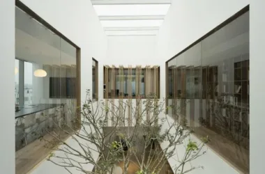 BIM Architecture: Designing Guangzhou Future Hill Office and Residential Buildings-BIM WORLD