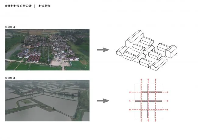 BIM Architecture | Tangbao Academy - Village Public Movement Center/Huajian Group · Shanghai Design Free Studio