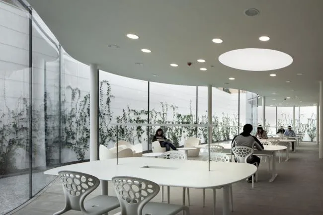BIM Architecture | Ranero Library/Andre Maffei Architecture Firm