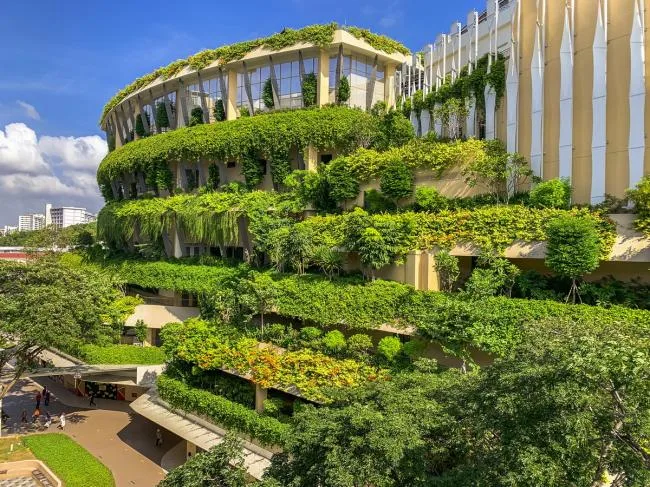 BIM Architecture | Public Communities in the Jungle: Wuluo Heartbeat Building/ONG& ONG