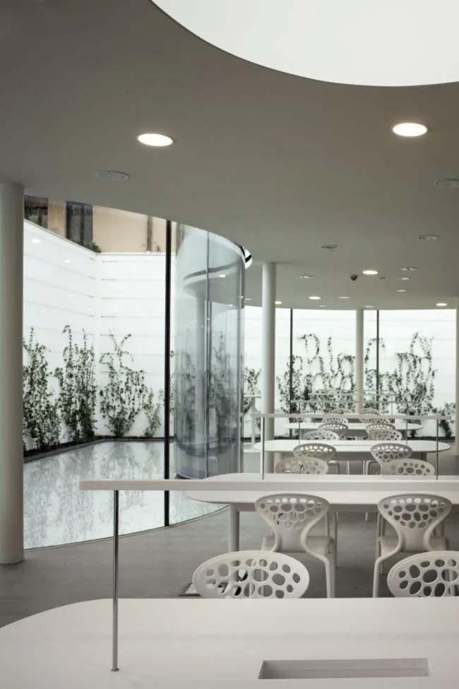 BIM Architecture | Ranero Library/Andre Maffei Architecture Firm