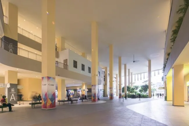 BIM Architecture | Public Communities in the Jungle: Wuluo Heartbeat Building/ONG& ONG