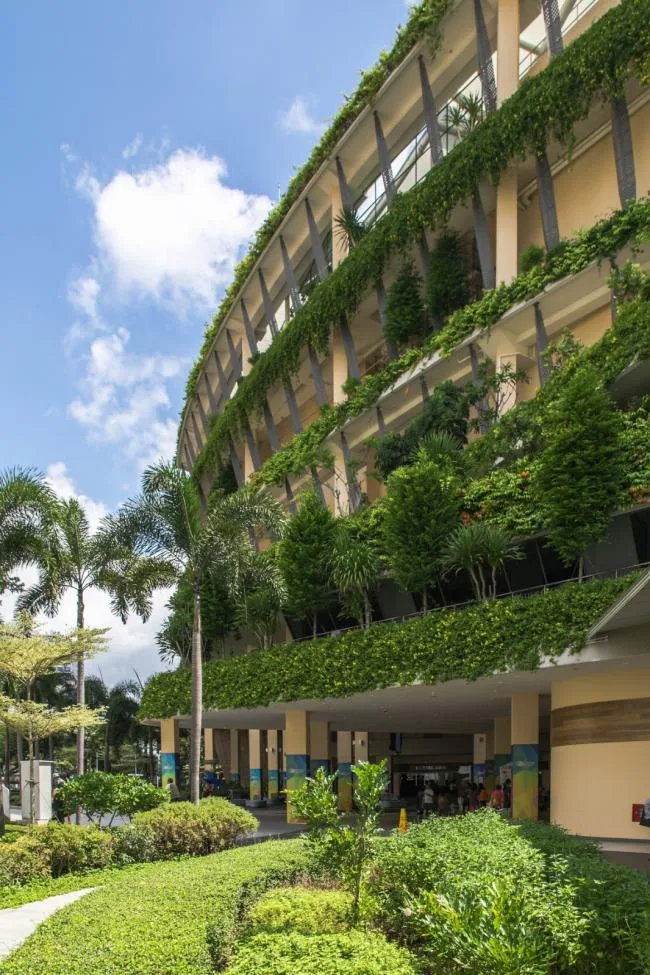 BIM Architecture | Public Communities in the Jungle: Wuluo Heartbeat Building/ONG& ONG