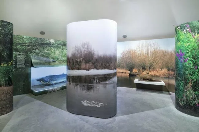 BIM Architecture | Large scale Art Sculpture with Unscrupulous Wetland Scenery: Biesbosch Museum Island, Netherlands/Studio Marco Vermeulen