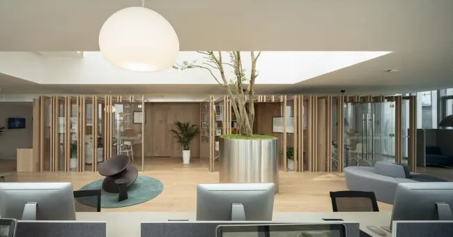 BIM Architecture | Guangzhou Future Hill Office Building Design/Room Building Design