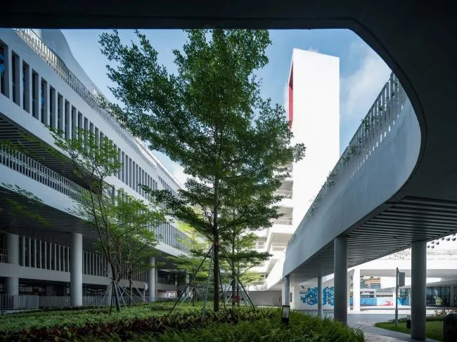 BIM Architecture | Shenzhen Qianhai Third Primary School (Liwan Primary School)/Shenzhen New Year Night School Architectural Design and Research Institute · Yuanben Studio