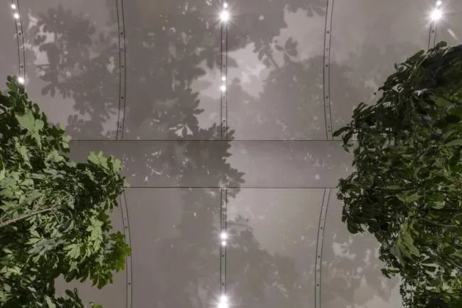 BIM Architecture | Apple Miami Store/Foster Partners