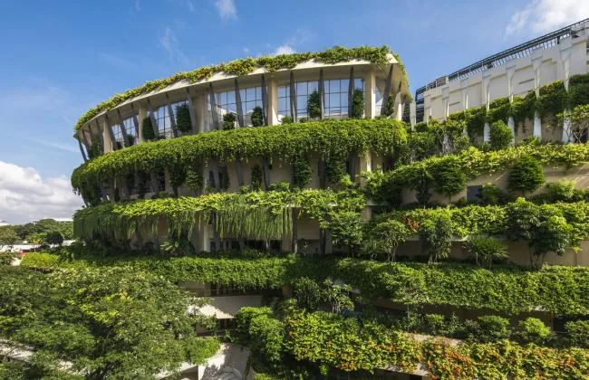 BIM Architecture | Public Communities in the Jungle: Wuluo Heartbeat Building/ONG& ONG