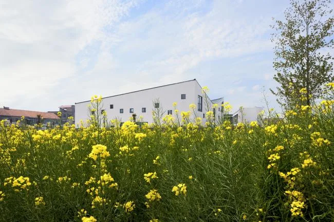 BIM Architecture | Jiangsu Shuoji Kindergarten - The Hope of Left behind Villages/Crossboundaries, Beijing