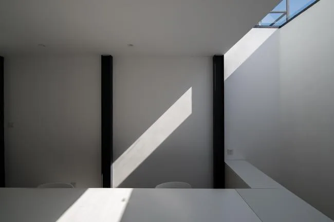 BIM Architecture | Tree Courtyard/Integrated Architecture