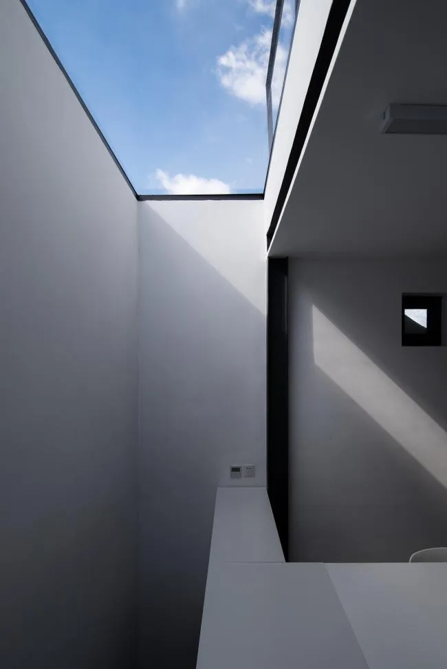 BIM Architecture | Tree Courtyard/Integrated Architecture