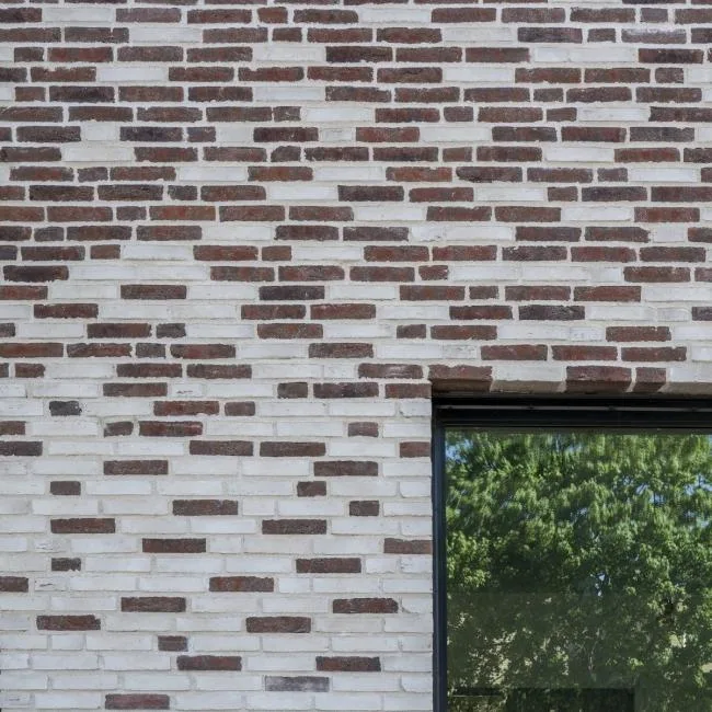 BIM Architecture | Preserving Occasional Memories - Tiunda Primary and Secondary School/C.F. M ø ller