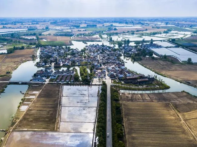 BIM Architecture | Tangbao Academy - Village Public Movement Center/Huajian Group · Shanghai Design Free Studio