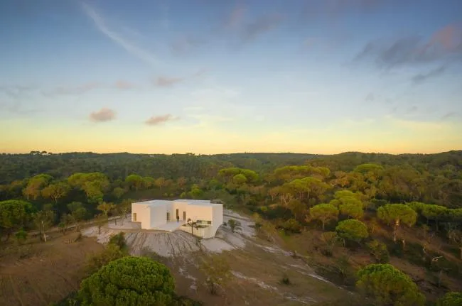 BIM Architecture | White Sculpture 'Flower' on Desolation: Fontinha Room/Buenos Aires Mateus+SIA arquitectura