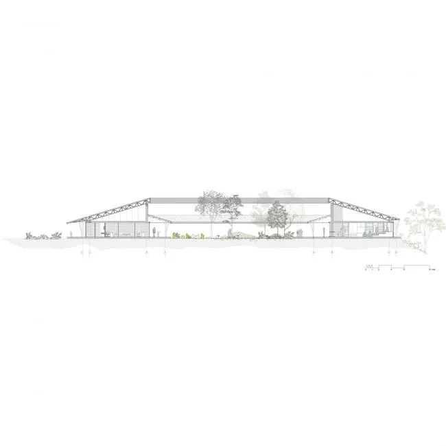 BIM Architecture | Montessori Kindergarten, Moonlight Box in Nature/Estudio Transversal