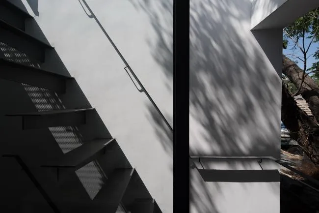 BIM Architecture | Tree Courtyard/Integrated Architecture