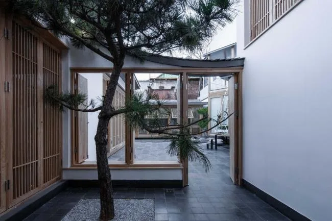 BIM Architecture | Layered Forest and Waves, Long Pavilion and Sleeping Waves: Beijing Breeding Academy/Jiejie Studio