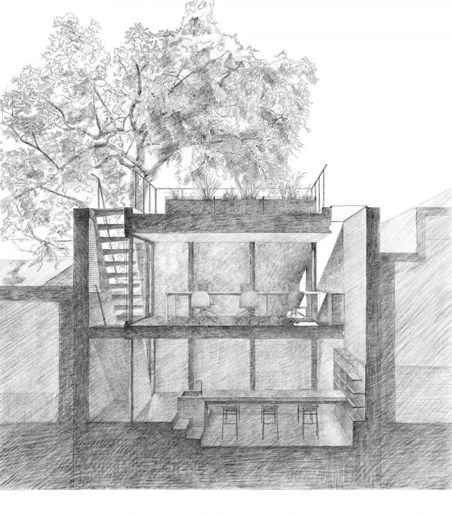 BIM Architecture | Tree Courtyard/Integrated Architecture