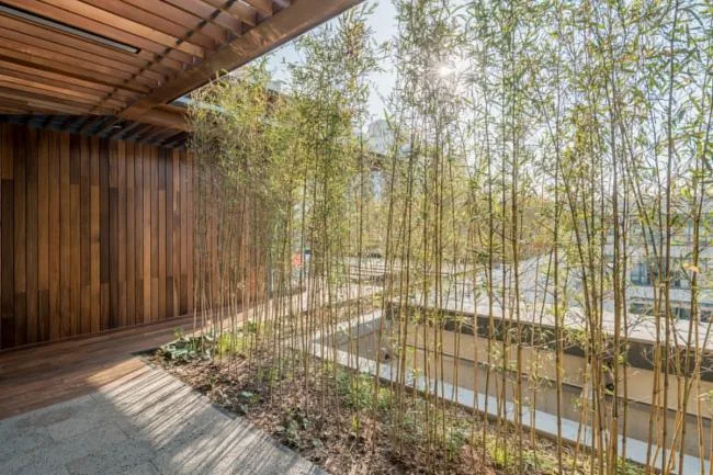 BIM Architecture | Shanghai Wushang Sanjian/Zhizheng Architecture Studio