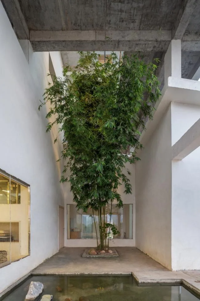 BIM Architecture | My Home, Hunan/Wang Xutan