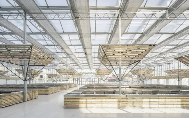 BIM Architecture | Successful Market Settlement Point/Luo Yujie Studio