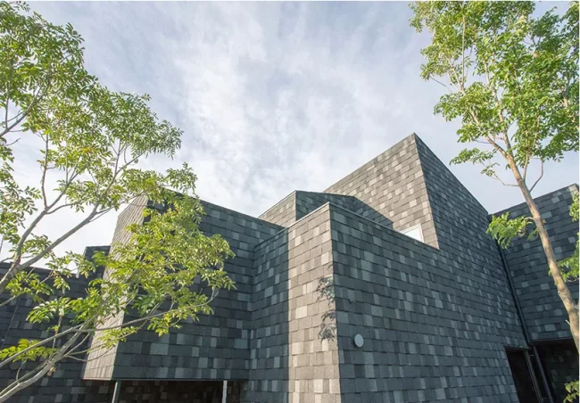 BIM Architecture | Living in the Branches - MK Apartment Japan/1-1 Architects