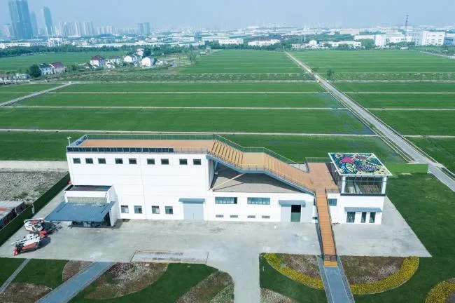 BIM Architecture | Reform of Jiading Chaoyang Village Rice Drying Factory/Fengmao Architecture