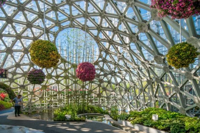 BIM Architecture | Design and Research Institute for Decoration of Shanghai Garden/Huajian Group Buildings at the 2019 Beijing International Horticultural Exposition