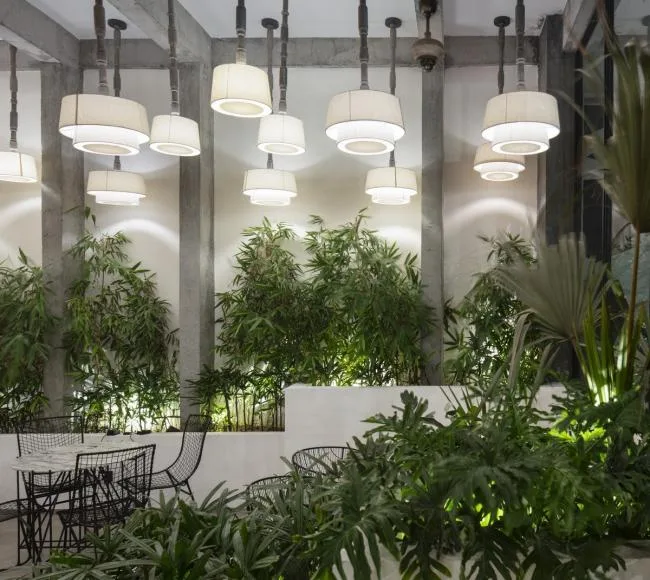 BIM Architecture | A Coffee Shop Searching for Village Memories, Protal 92, India
