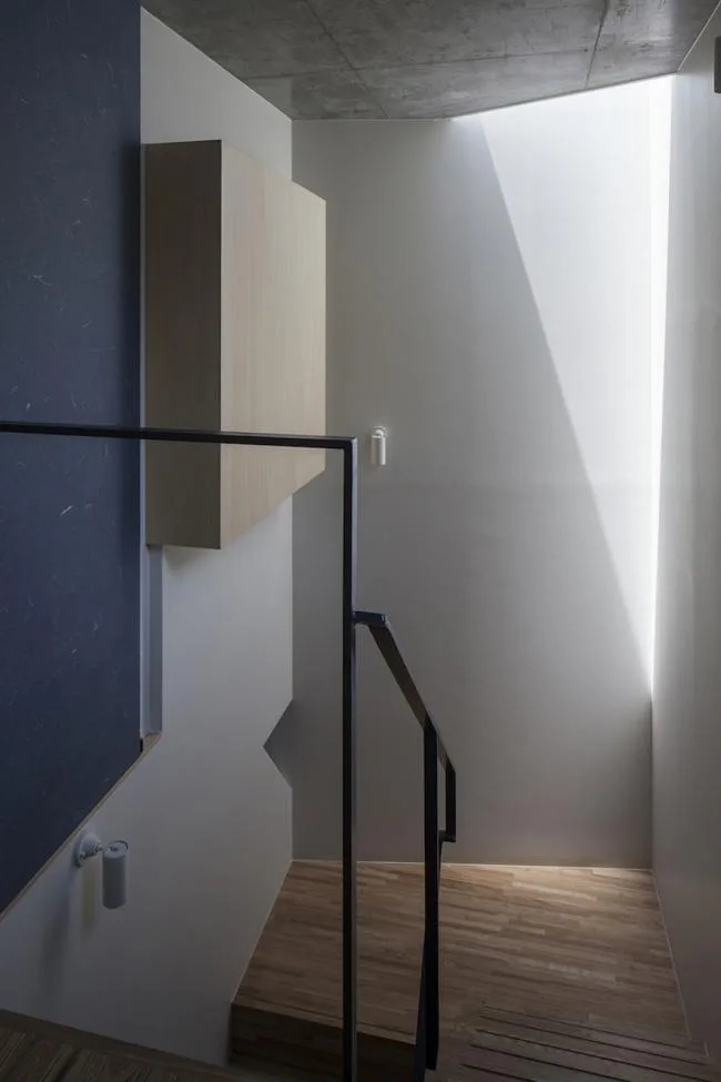 BIM Architecture | Tachikawa Studio/AMORPHE