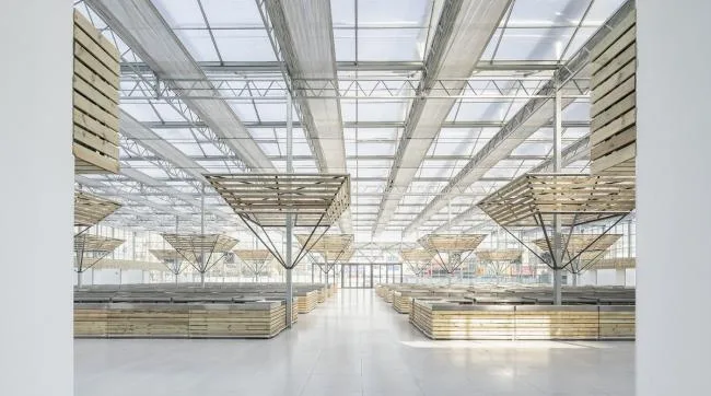 BIM Architecture | Successful Market Settlement Point/Luo Yujie Studio