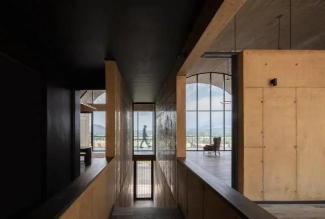 BIM Architecture | A Mountain Flower Blooming in a Vineyard: OFMA Office Building, Chile/MAPAA