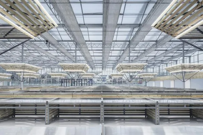 BIM Architecture | Successful Market Settlement Point/Luo Yujie Studio