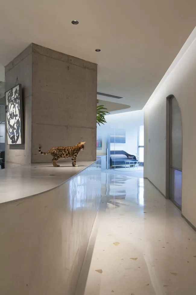 BIM Architecture | Office of a Bedside Space Design Firm, Quiet and Open Exchange Space/Bedside Space Design