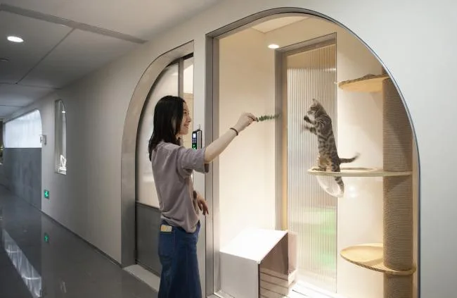 BIM Architecture | Office of a Bedside Space Design Firm, Quiet and Open Exchange Space/Bedside Space Design