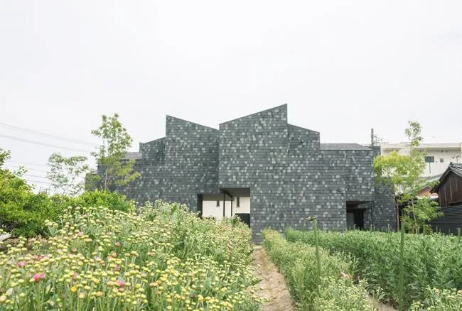 BIM Architecture: Living Among the Branches at MK Apartment, Japan by 1-1 Architects-BIM WORLD