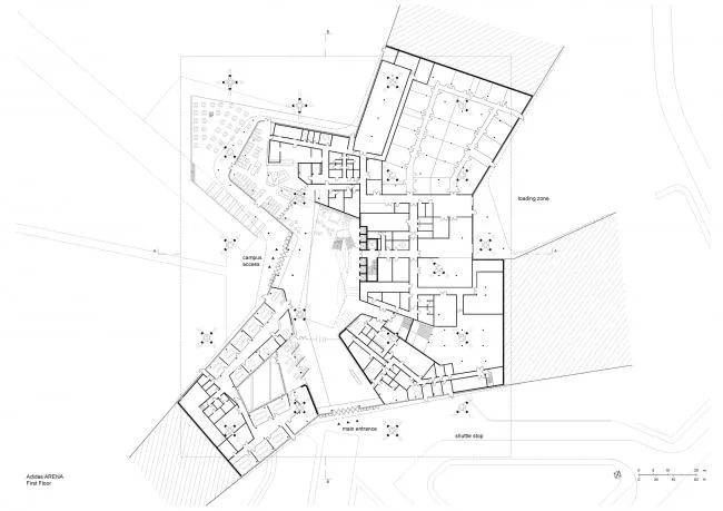 BIM Architecture | Vibrant and Radiant - Adidas Campus/Behnisch Architekten