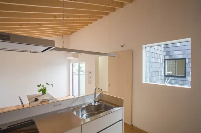 BIM Architecture | Living in the Branches - MK Apartment Japan/1-1 Architects