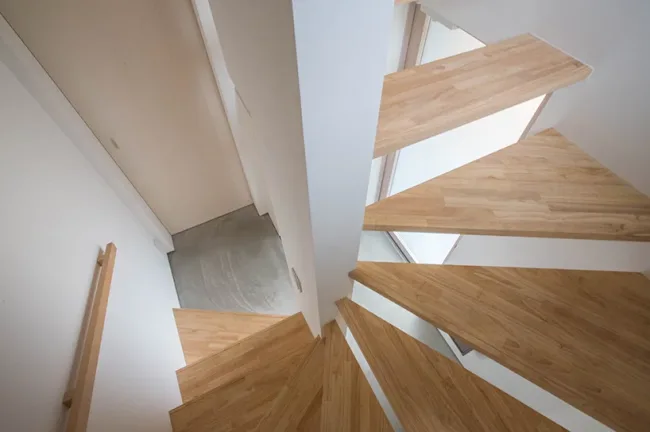 BIM Architecture | Living in the Branches - MK Apartment Japan/1-1 Architects