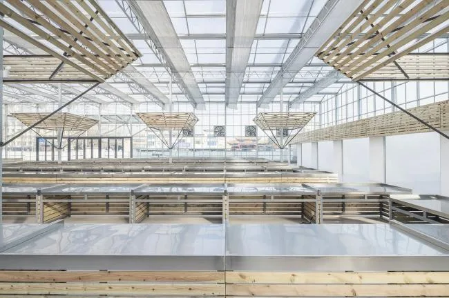 BIM Architecture | Successful Market Settlement Point/Luo Yujie Studio