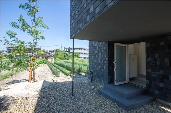 BIM Architecture | Living in the Branches - MK Apartment Japan/1-1 Architects