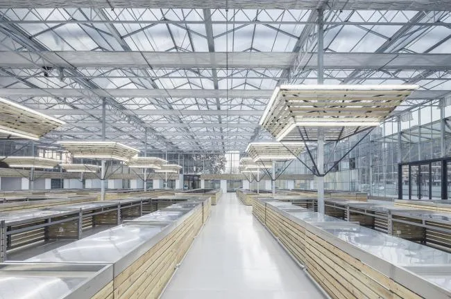 BIM Architecture | Successful Market Settlement Point/Luo Yujie Studio