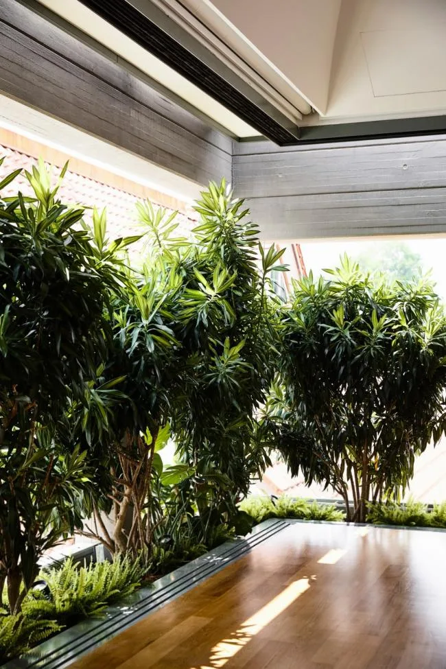 BIM Architecture | Concrete Sunroom, Showcasing the Beauty of Beam and Column Construction/HYLA Architects