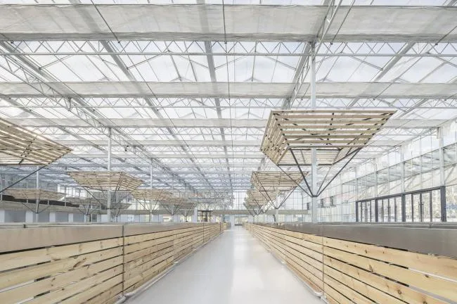 BIM Architecture | Successful Market Settlement Point/Luo Yujie Studio