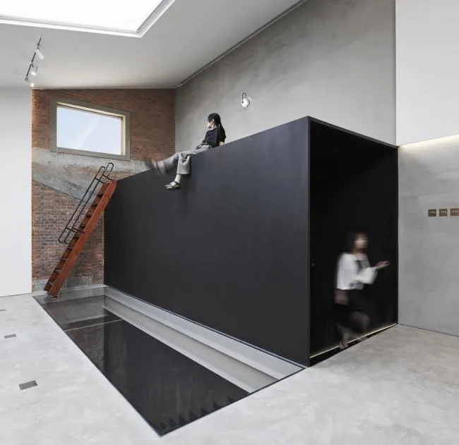 BIM Architecture | Haydn Space/Mystery House Design Studio