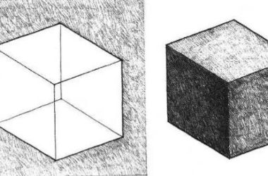 Understanding the Role of Different 