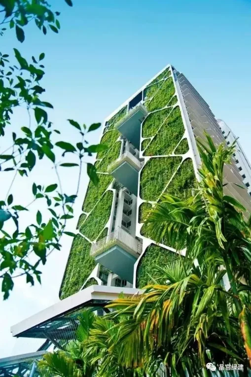 Prefabricated research | Can prefabricated buildings become the leader of green buildings?