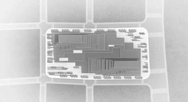 BIM Architecture | International Financial Ecological City Solution: Elite Incubator/LAD (Reed) Design Agency Spanning the CBD